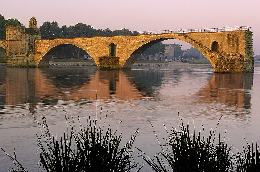Saint Benezet bridge over Rhone river, Avignon. Vaucluse, Provence-Alpes-Côte dAzur, Rhone valley, Provence, France