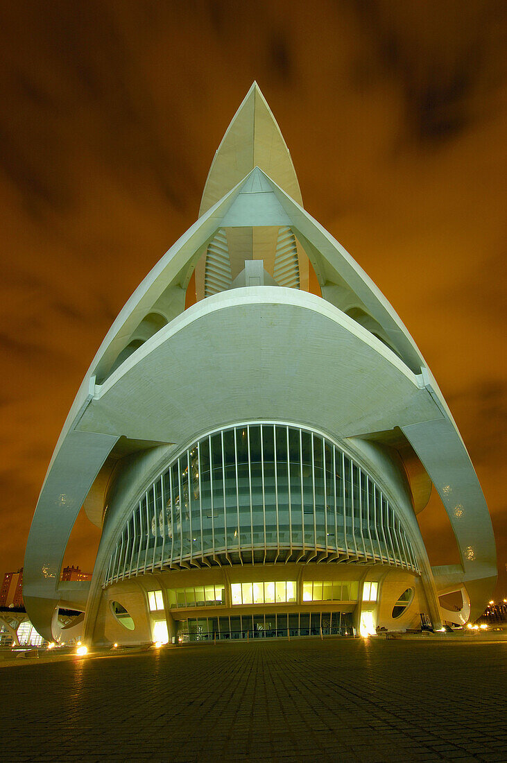 Palace of Arts Reina Sofia by S. Calatrava, City of Arts and Sciences, Valencia. Comunidad Valenciana, Spain