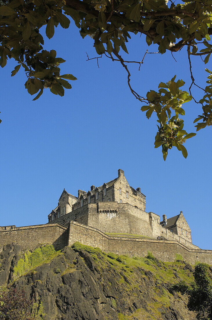 Edinburgh Castle from Princes street gardens  Edinburgh  Scotland  U K