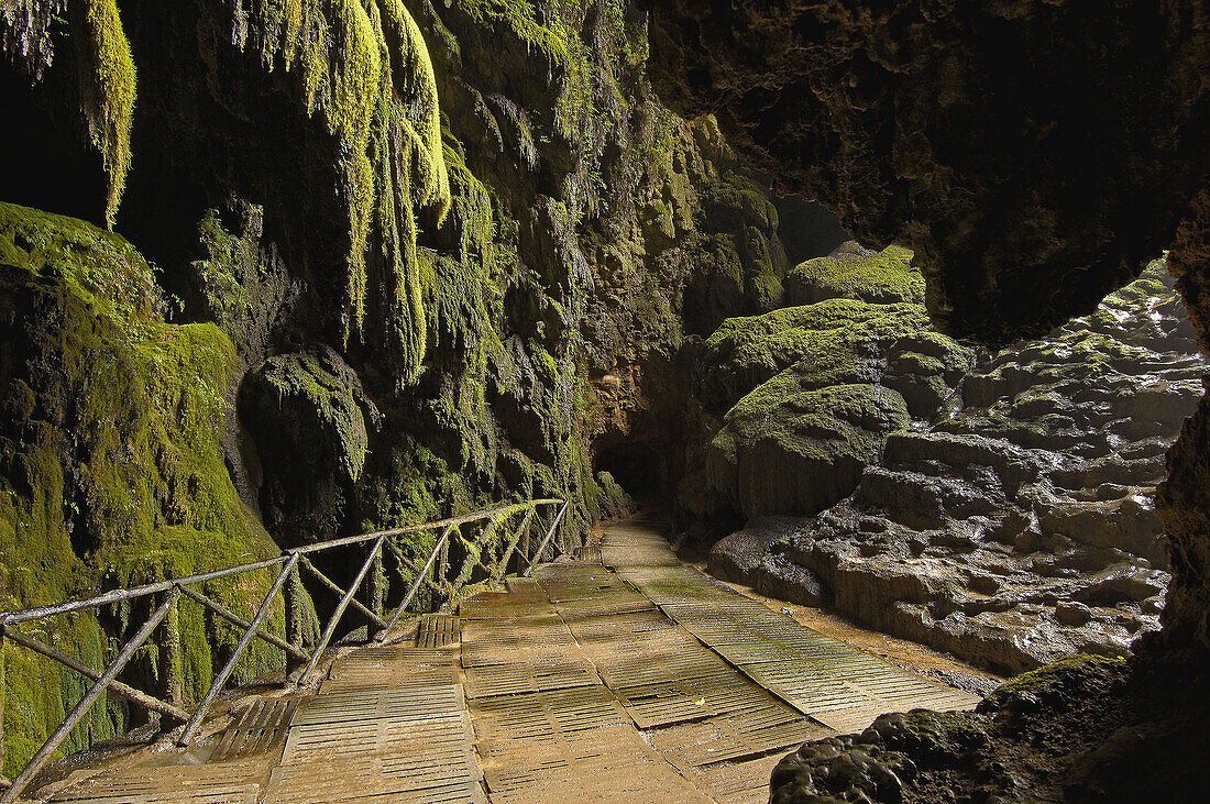 Piedra River  Cave Iris inside the Cola de Caballo Waterfall at Monasterio de Piedra  Nuevalos  Zaragoza province  Aragon  Spain