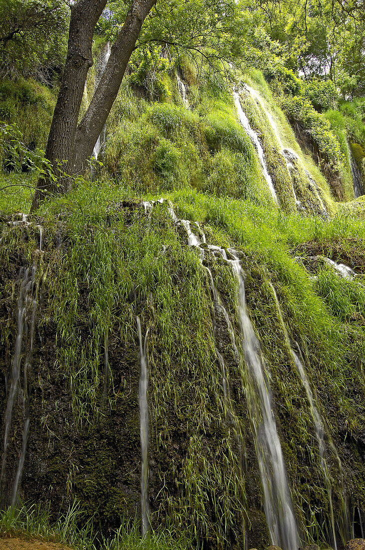 Piedra River  Monasterio de Piedra  Nuevalos  Zaragoza province  Aragon  Spain