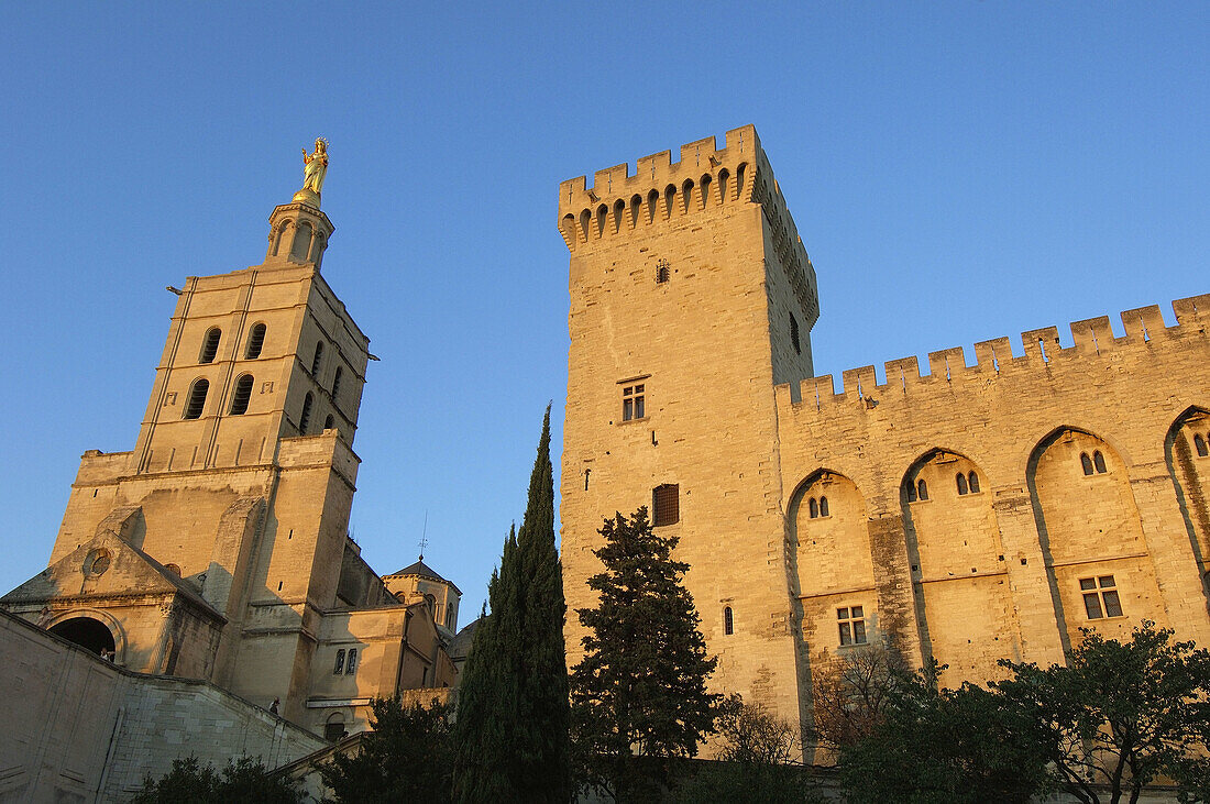 Papal Palace Palais des Papes and Notre Dame des Doms Cathedral  Avignon  Vaucluse  Provence-Alpes-Côte dAzur  Rhone valley  Provence  France