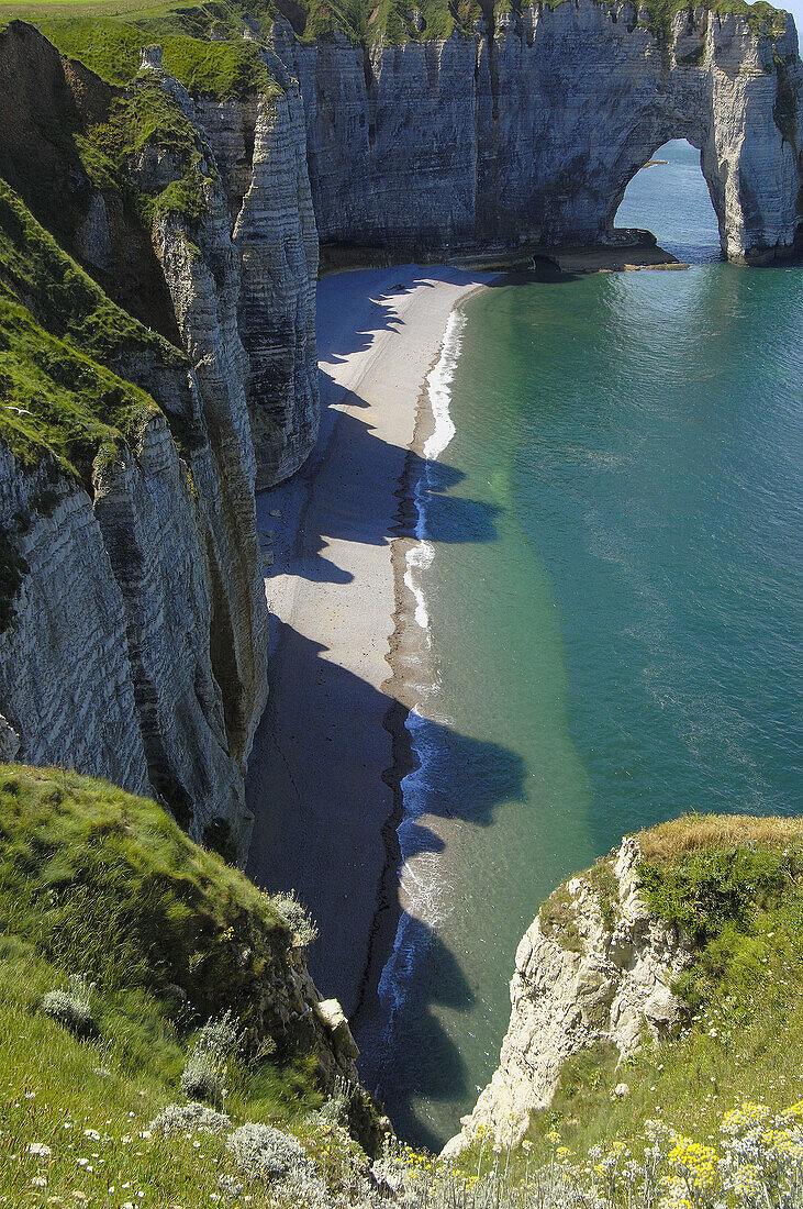 Sea Cliff  Falaise near  Étretat  Côte dAlbatre  Haute-Normandie  Normandy  France