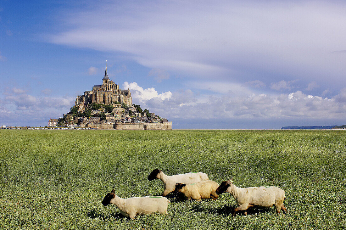 Mont-Saint-Michel Benedictine abbey  Normandy  France