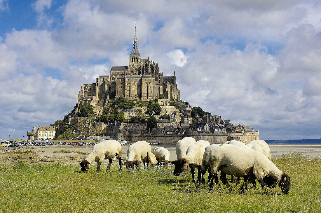 Mont-Saint-Michel Benedictine abbey  Normandy  France