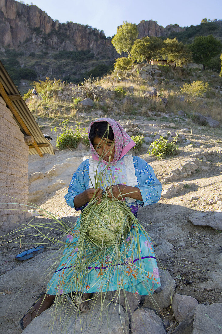 Tarahumara Indian woman weaving a basket outside her house, Urique Canyon, the deepest canyon in the Sierra Tarahumara at 6, 200 feet, is one of six distinct canyons that make up the Copper Canyon Barranca del Cobre, Chihuahua, Mexico