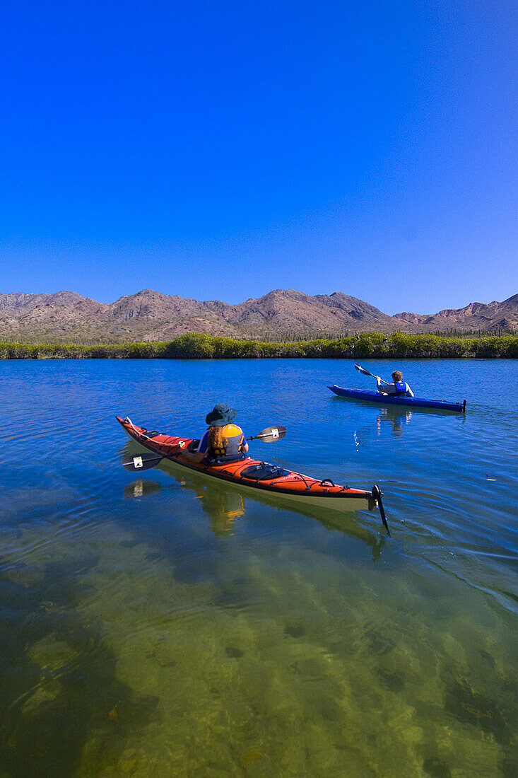 Sea kayaking in the salt marsh mangroves near Bahia Amortajada, Isla San Jose, Sea of Cortes, Baja California Sur, Mexico