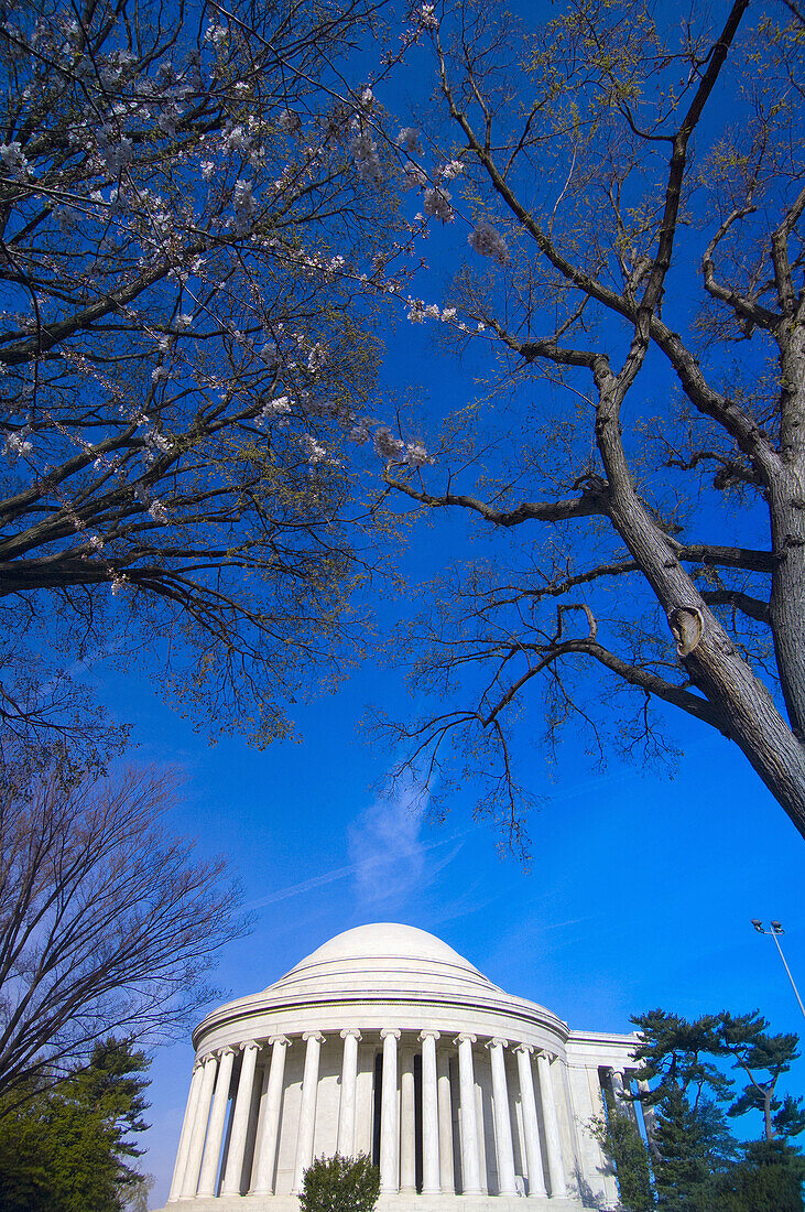 The Jefferson Memorial, Cherry Tree Walk, Tidal Basin, Washington D C, U S A
