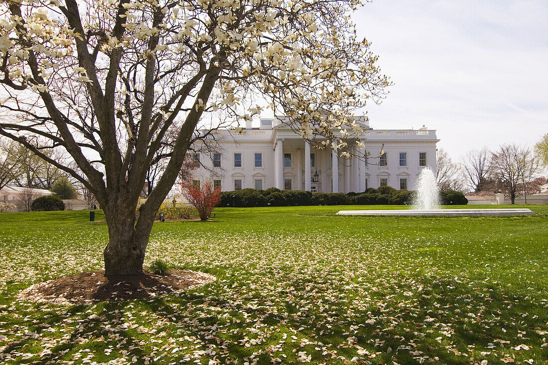 The White House, Washington D C, U S A