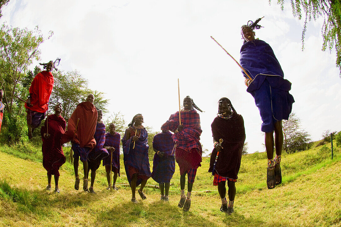 Maasai warriors doing Adumu traditional jumping dance, Amboseli National Park, Kenya
