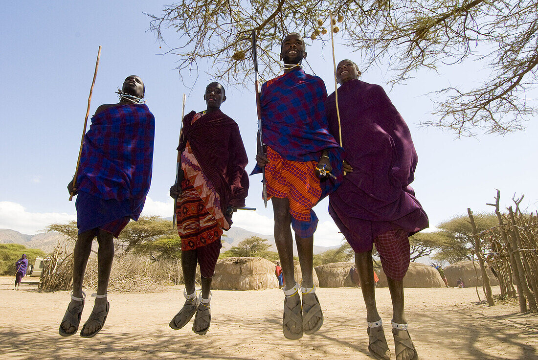 Maasai tribe men doing Adumu Traditional Jumping Dance, Manyatta village, Ngorongoro Conservation Area, Tanzania