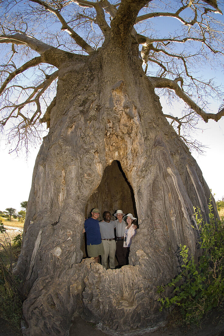 A group of tourists on safari pose for a photo inside a baobab tree, Tarangire Safari Lodge, Tarangire National Park, Tanzania