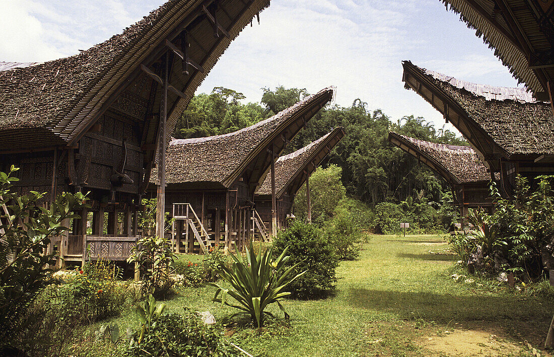 Tongkonan (traditional ancestral house) of the Torajan people, Palawa. Tana Toraja land, Sulawesi, Indonesia