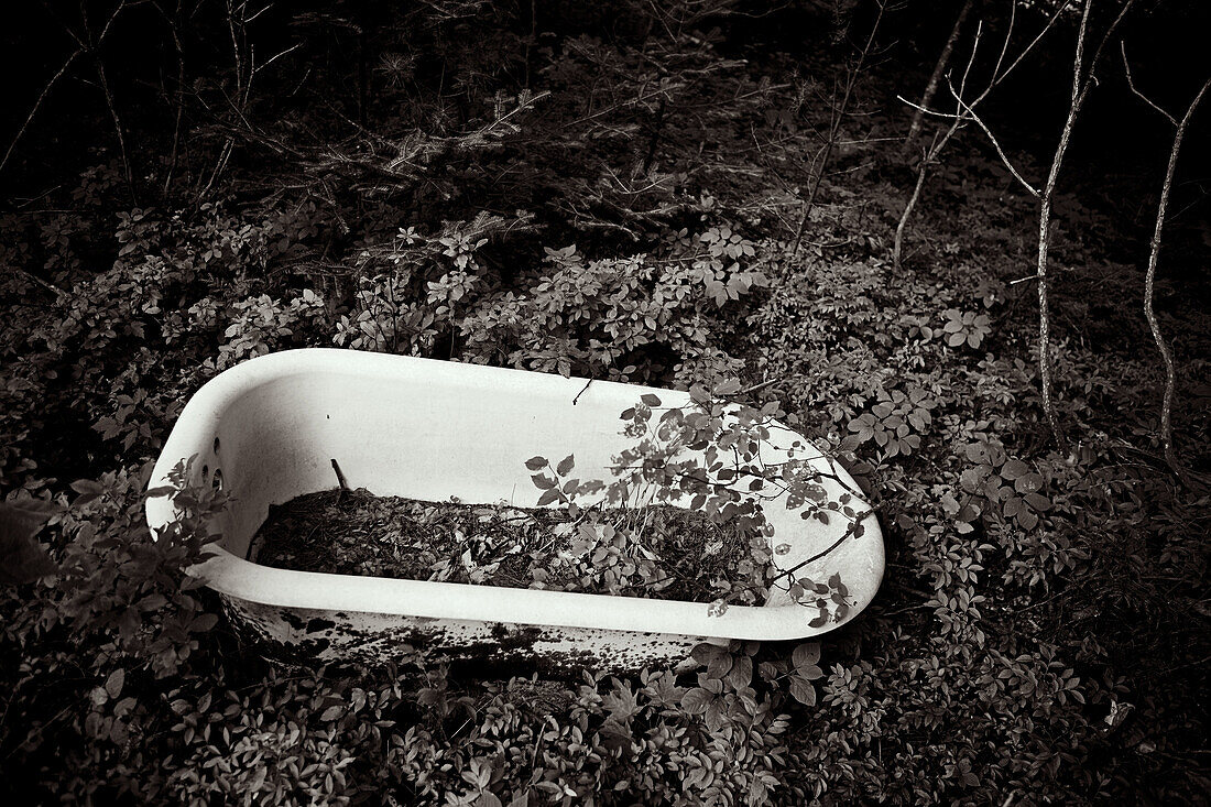 Abandoned, Abandonment, Aged, b&w, Bathtub, Bathtubs, black-and-white, Careless, Carelessness, Concept, Concepts, Country, Countryside, Earth, exterior, forest, forests, Ground, Grounds, Nobody, Odd, Old, Out of place, outdoor, outdoors, outside, Strange,