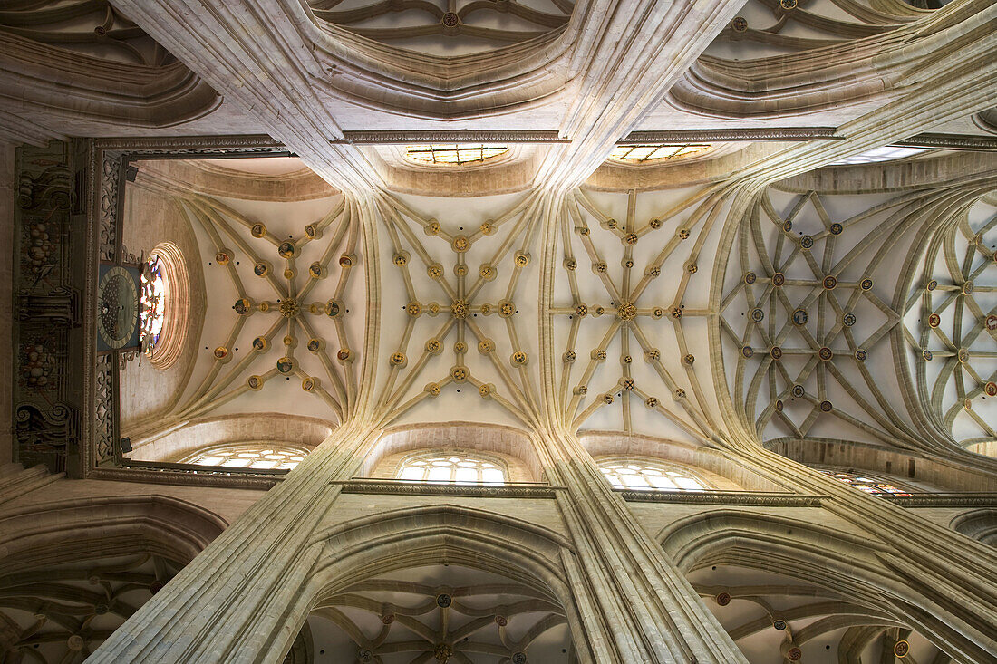 Techo del Nave del Catedral, Astorga, Leon, Castilla y Leon, España