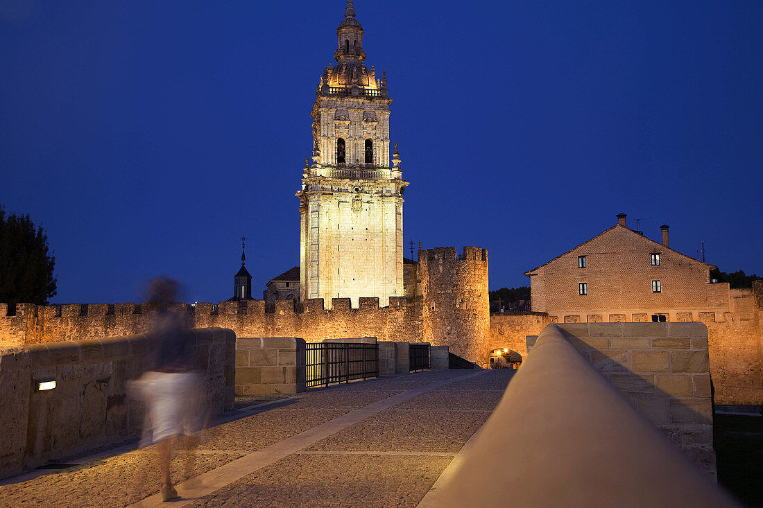 Catedral de El Burgo de Osma, Soria, Castilla y Leon, España