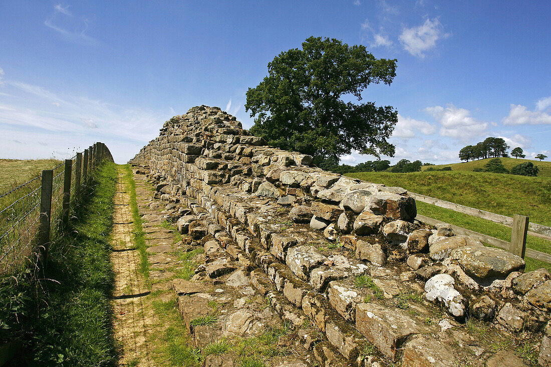 Hadrians Wall near Gilsland, Cumbria, England, UK