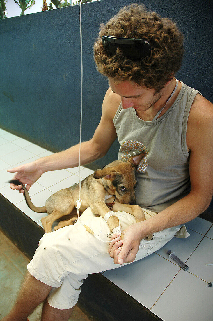 Assagao Goa, India, sick dog recovering … – License image – 70247033 ❘  lookphotos