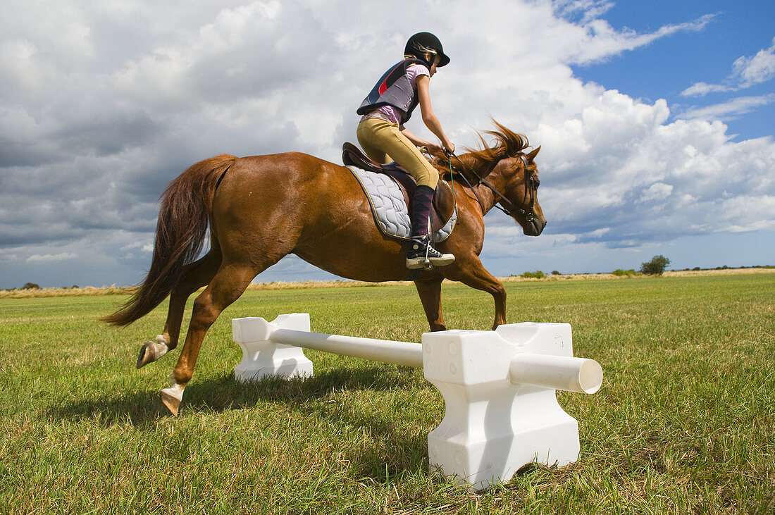 Girl riding and jumping a pony.