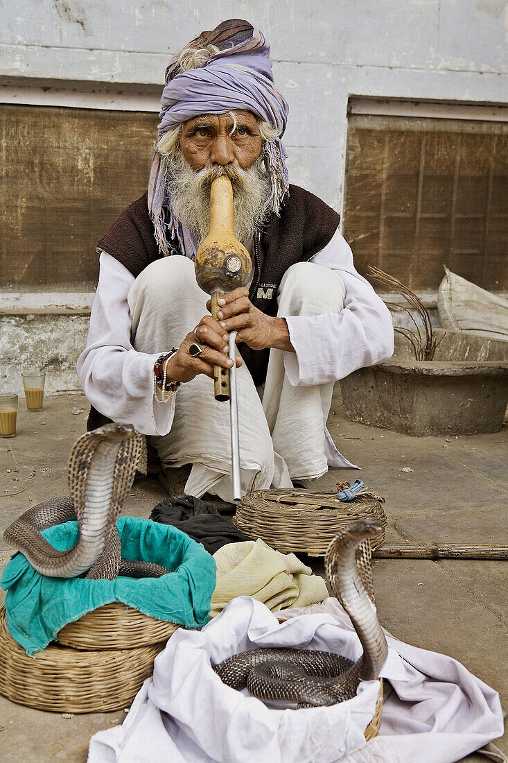 Snake Charmer, New Delhi, India