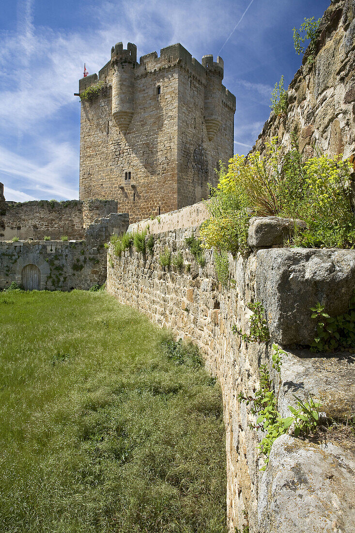 San Felices de los Gallegos Castle or Duque de Alba Castle, in San Felices de los Gallegos, Arribes del Duero Natural Park, Salamanca, Castilla y Leon, Spain, Europe.