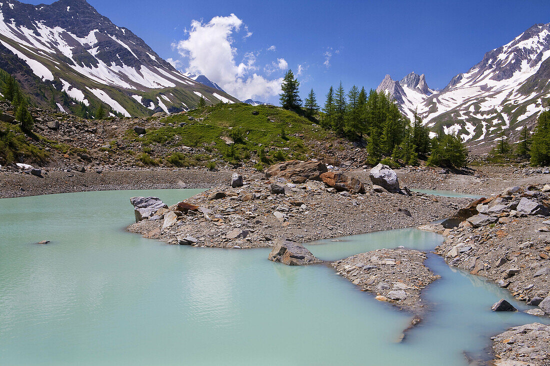 Trees, lake and glacial moraines in Glacier Miage in the massif of Mont Blanc or Monte Bianco in the Italian Alps. Italy, Europe.