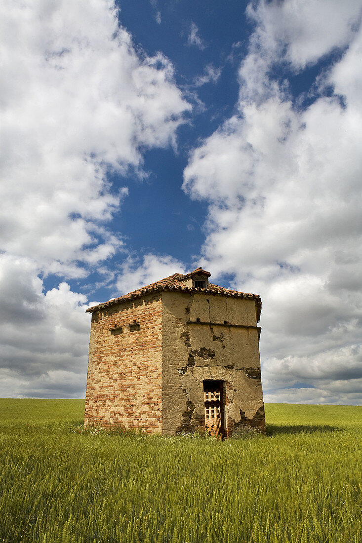 Dovecote on a farm landscape  Cereal crop  Doniños of Salamanca  Salamanca province  Castilla y Leon  Spain