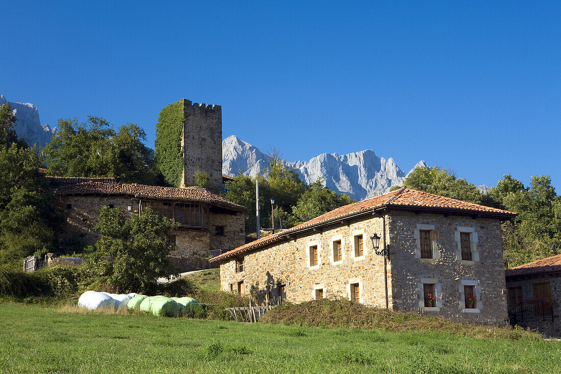 Mogrovejo  Historical Art Village in the valley of Liébana  Parque Nacional Picos de Europa  Andara, Cantabria, Spain
