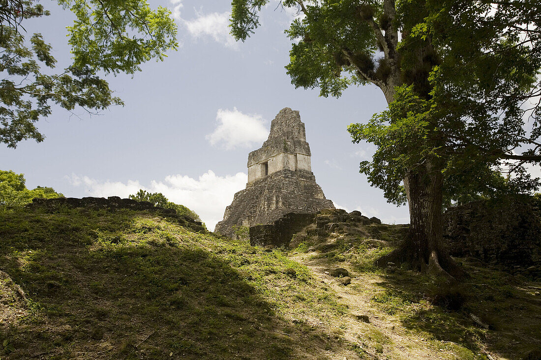 Guatemala, Peten, Tikal, Templo del Jagaur