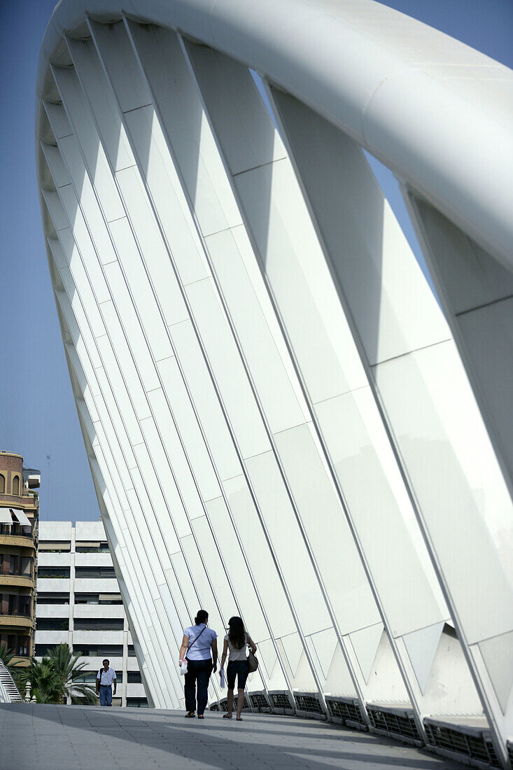 Bridge by Santiago Calatrava, Valencia. Comunidad Valenciana, Spain