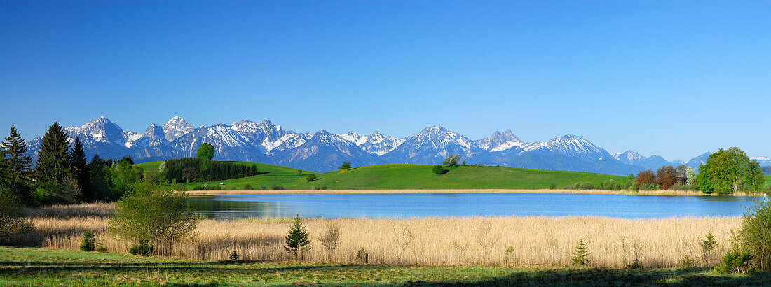Panorama of Allgaeu Alps with mountain lake, Allgaeu, Swabia, Bavaria, Germany