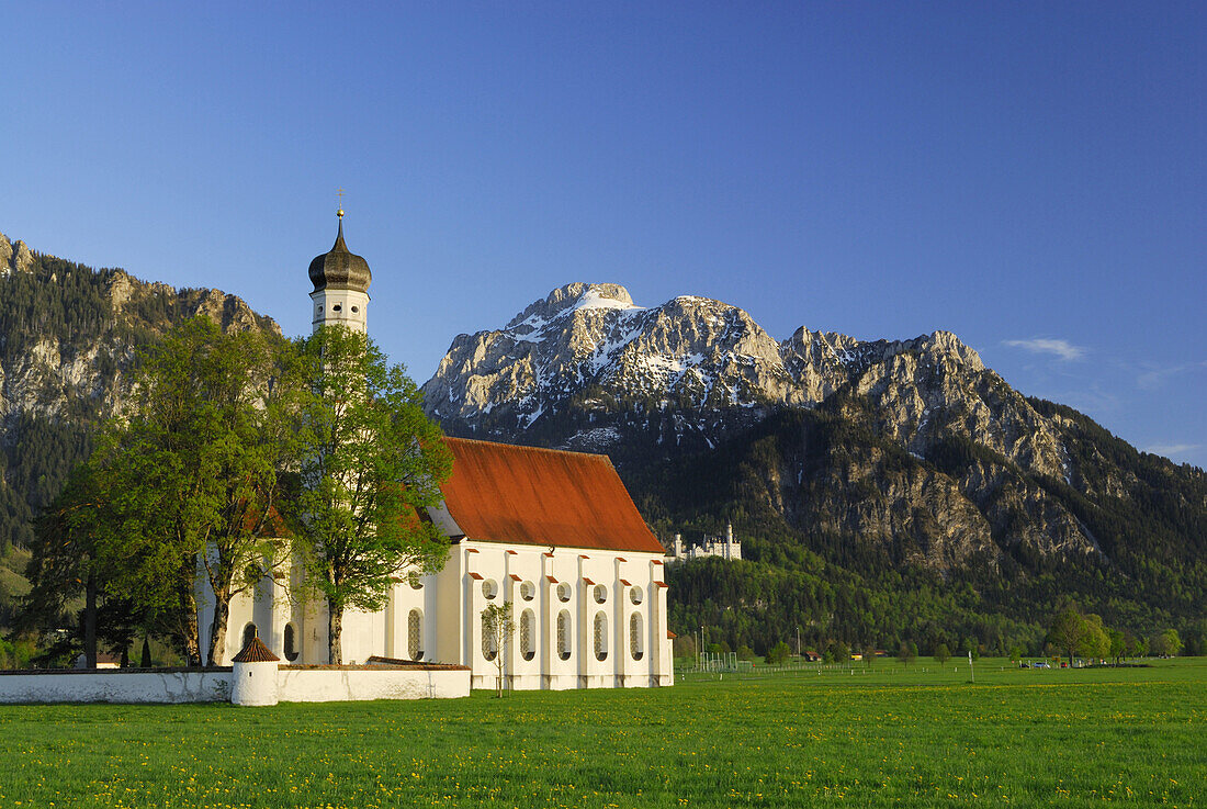 Kirche St. Coloman mit Schloss Neuschwanstein bei Schwangau, Allgäu, Bayern, Deutschland