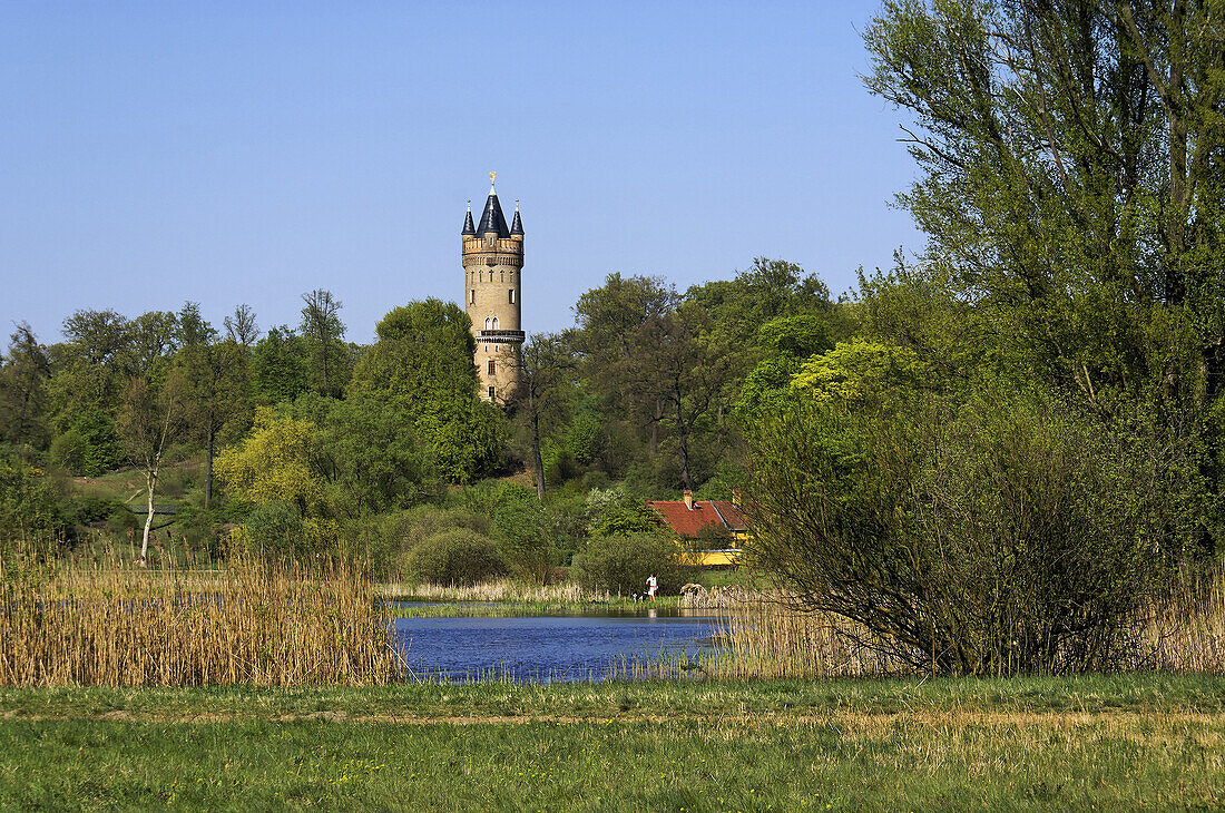 View over lake Kindermann to Flatow tower, Babelsberg Park, Potsdam, Brandenburg, Germany