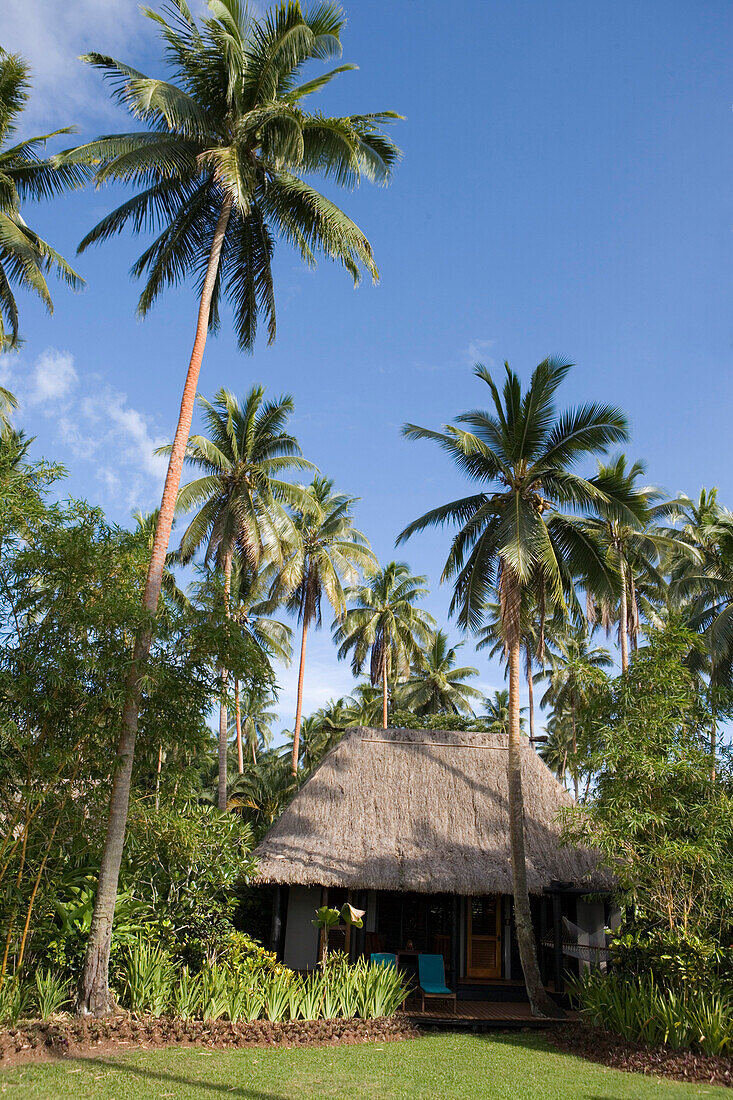 Hut under palm trees at Jean-Michel Cousteau Resort, Savusavu, Vanua Levu, Fiji Islands, South Pacific, Oceania