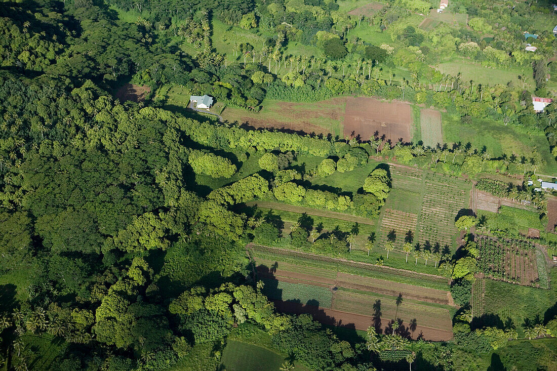 Aerial view of green landscape on the island, Rarotonga, Cook Islands, South Pacific, Oceania