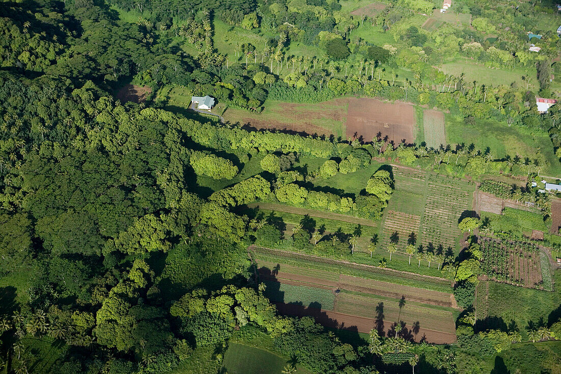 Luftaufnahme von grüner Landschaft auf der Insel, Rarotonga, Cook Inseln, Südsee, Ozeanien