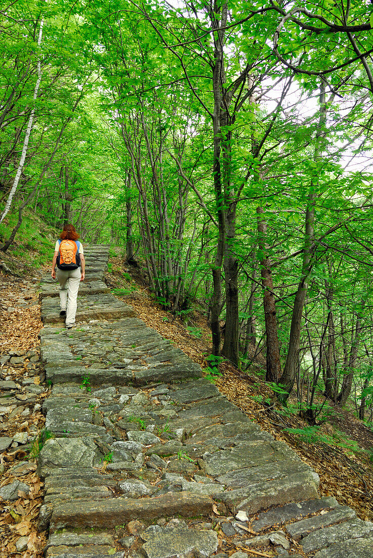 Frau wandert auf Steinplattenweg durch Laubwald, Intragna, Centovalli, Lago Maggiore, Tessin, Schweiz