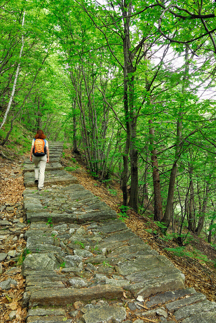 Woman walking on a flagstone path leading through the forest, Intragna, Centovalli, lake Maggiore, Lago Maggiore, Ticino, Switzerland