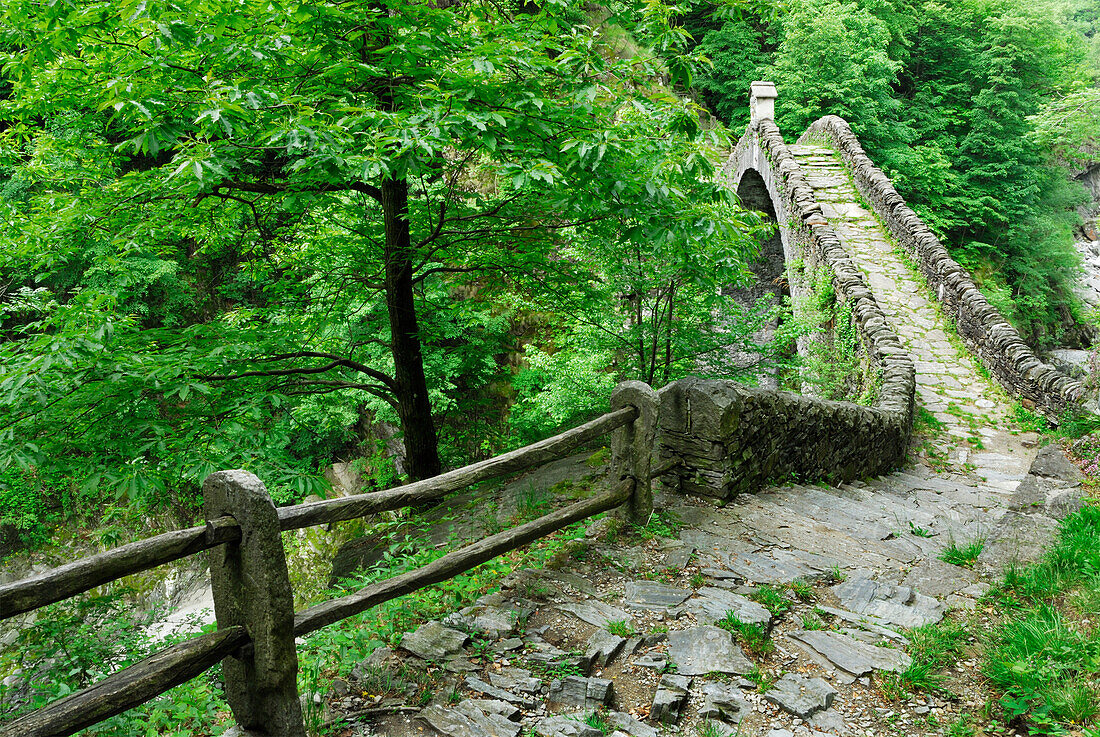 Steinbogenbrücke Ponte Romano über Fluss Melezza, Intragna, Centovalli, Lago Maggiore, Tessin, Schweiz