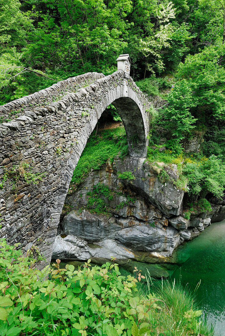 Steinbogenbrücke Ponte Romano über Fluss Melezza, Intragna, Centovalli, Lago Maggiore, Tessin, Schweiz