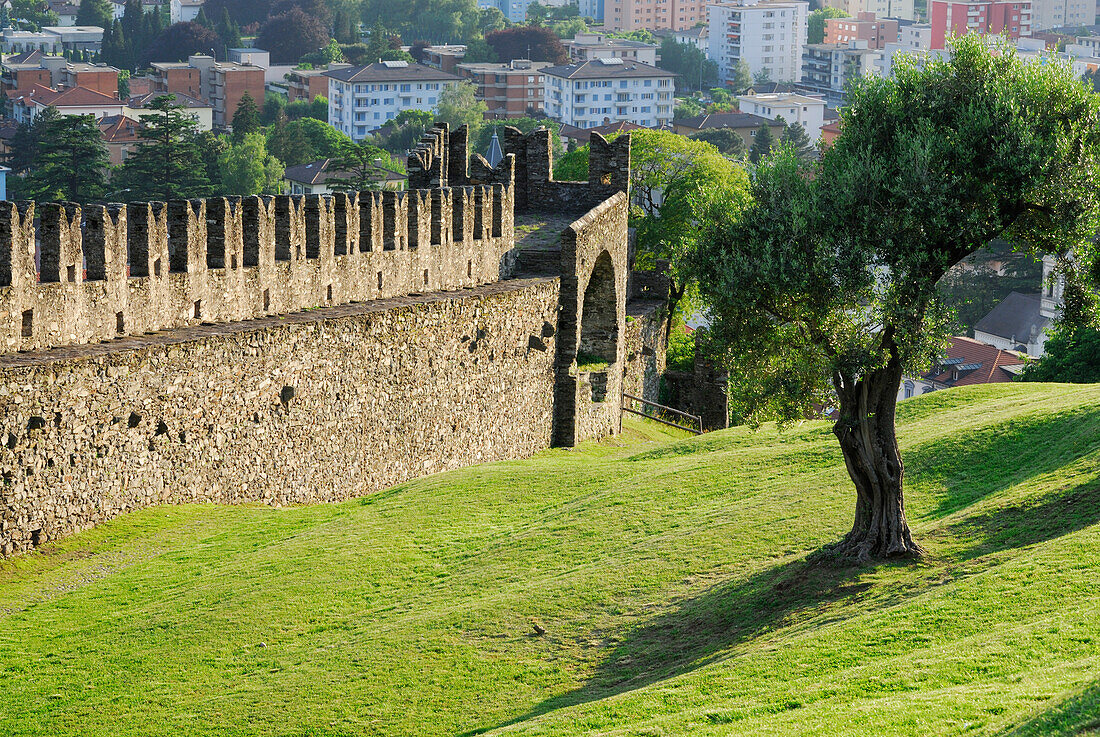Schwalbenschwanzzinnen der Wehrmauer der Burg Castello di Montebello in UNESCO Weltkulturerbe Bellinzona mit Bellinzona im Hintergrund, Bellinzona, Tessin, Schweiz