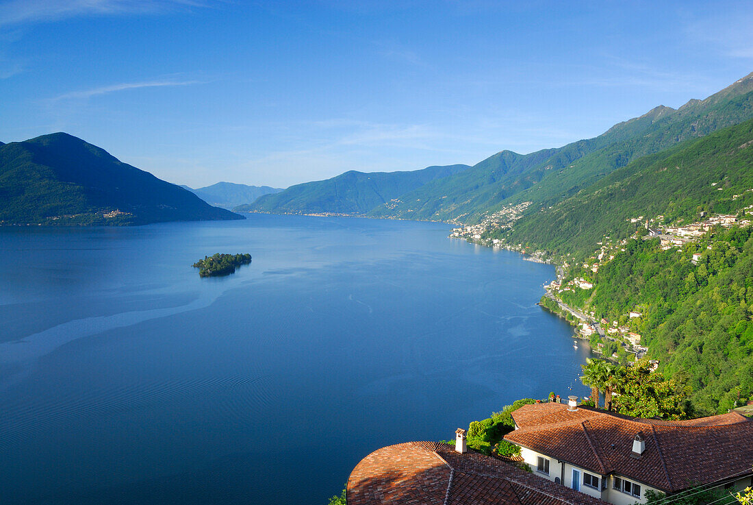 Lago Maggiore mit Isole di Brissago, Insel Brissago, Ronco sopra Ascona, Lago Maggiore, Tessin, Schweiz