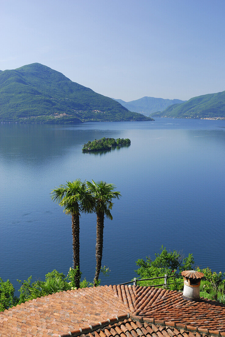 Palm trees and roof above lake Maggiore with isle of Brissago, Isole di Brissago, lake Maggiore, Lago Maggiore, Ticino, Switzerland
