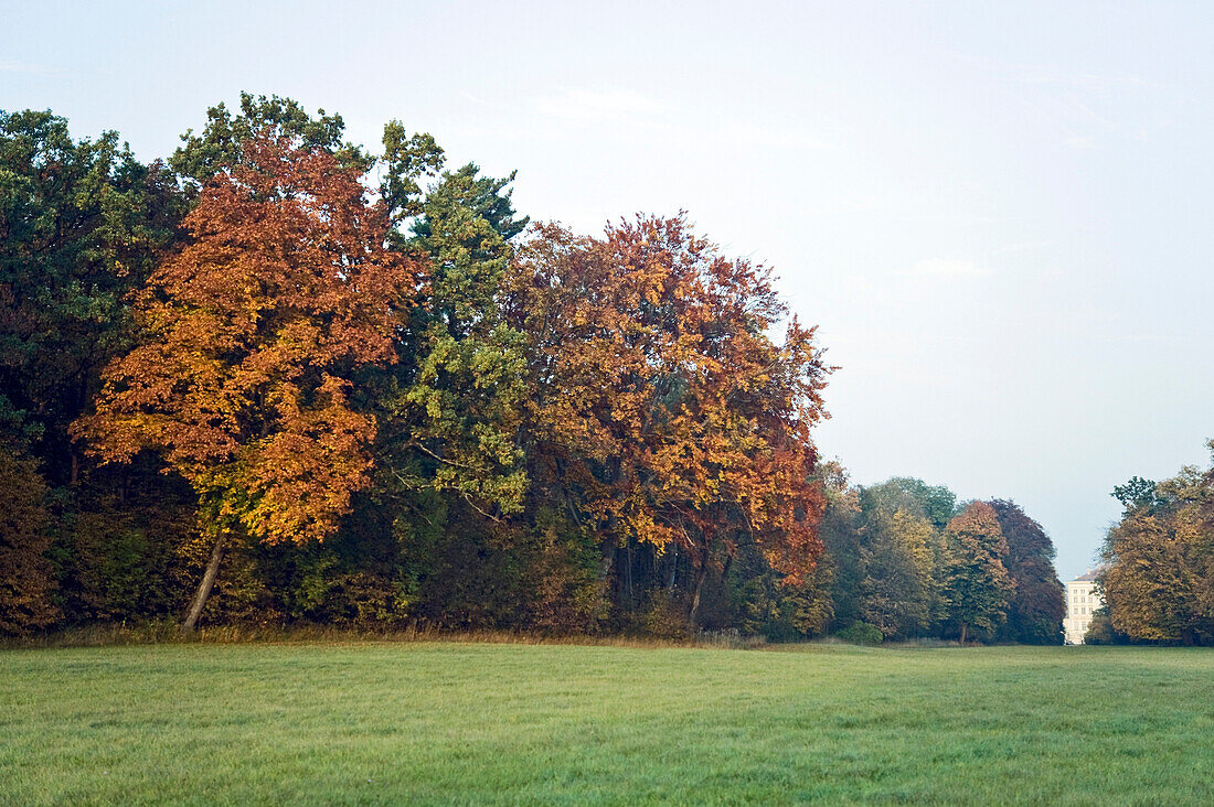 Germany, Bavaria, Munich, Parc of Nymphenburg Palace, Autumn, Tree, Leafes