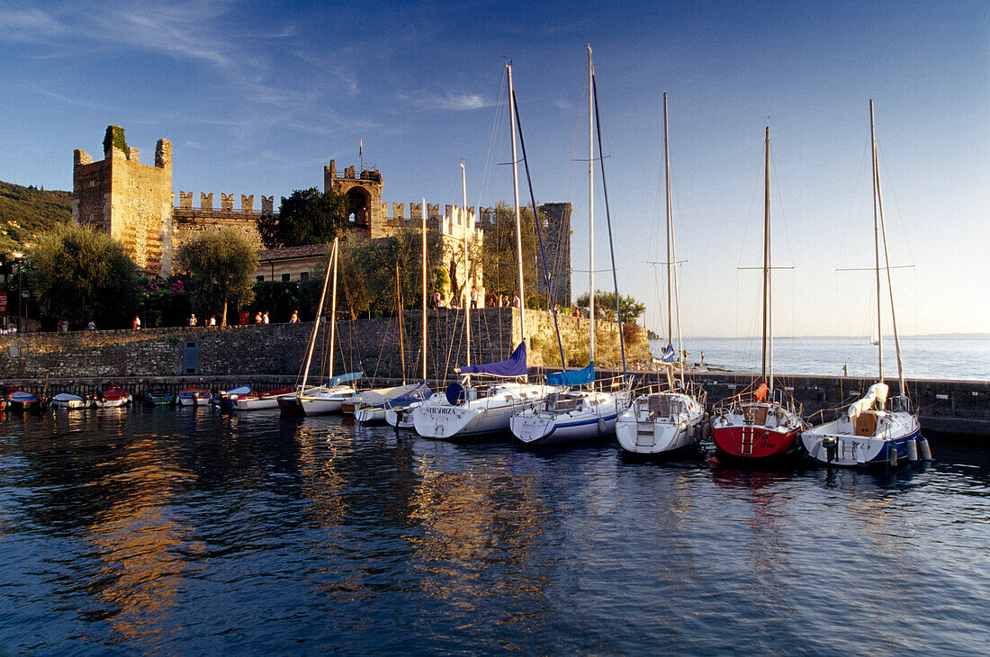 Scaliger castle at the harbour, Torri del Benaco, Lake Garda, Veneto, Italy, Europe