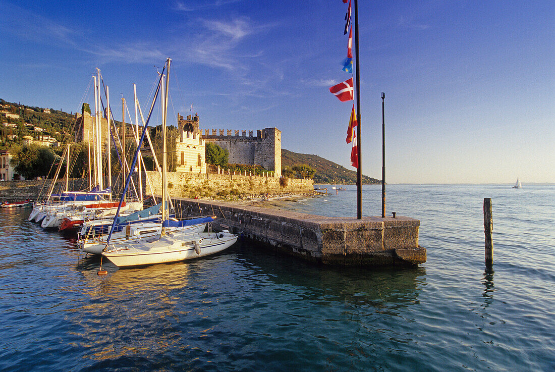 Scaliger castle at the harbour in the sunlight, Torri del Benaco, Lake Garda, Veneto, Italy, Europe