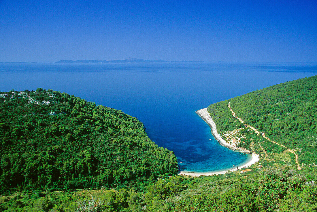 Beach at the southern coast under blue sky, Korcula island, Croatian Adriatic Sea, Dalmatia, Croatia, Europe