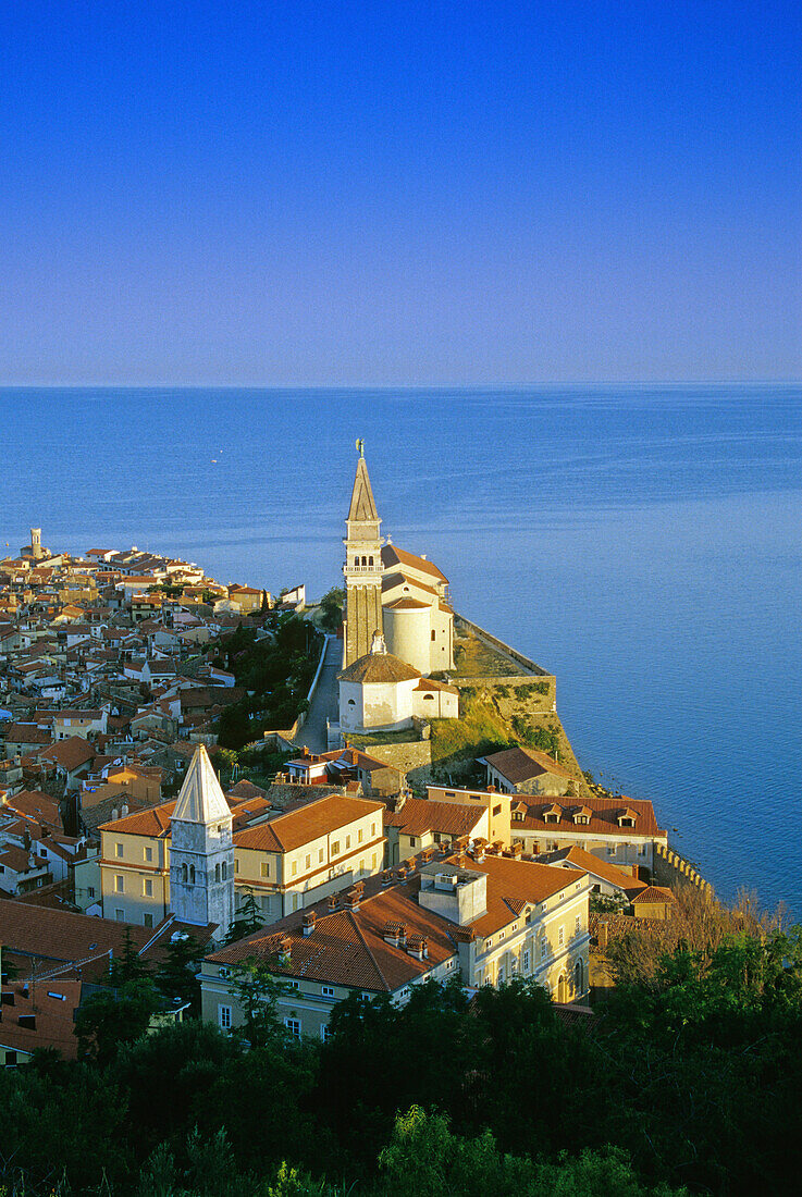 Blick auf die Altstadt von Piran, Istrien, Adriaküste, Slowenien