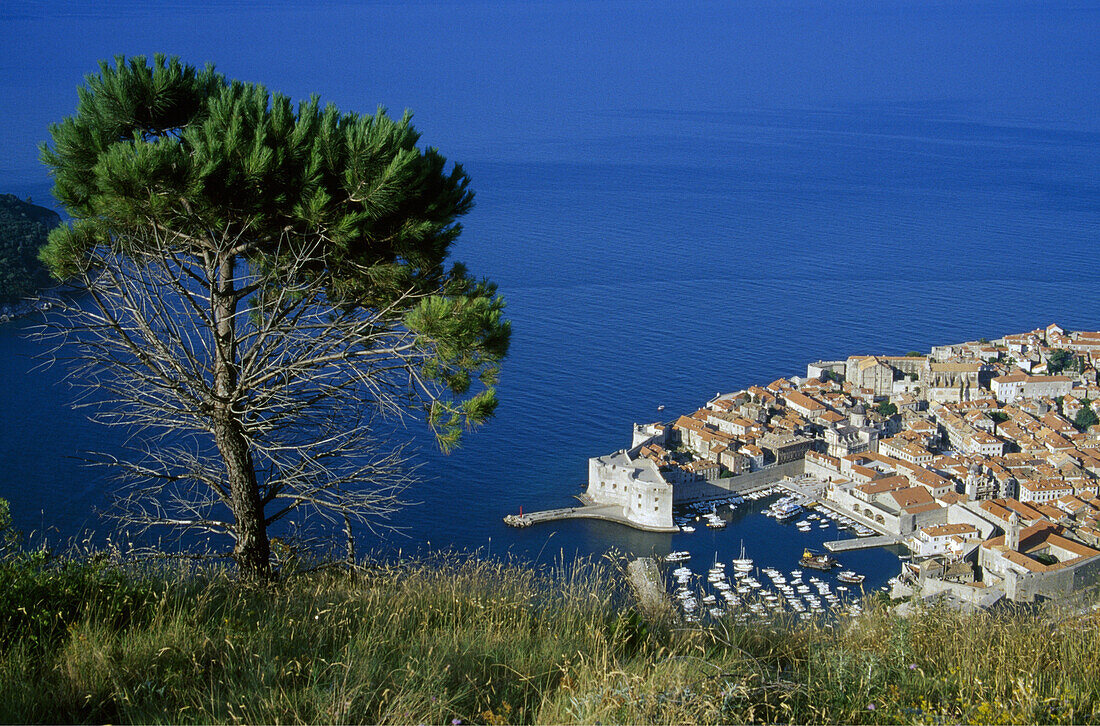 Blick auf die Altstadt und den alten Hafen von Dubrovnik, Kroatische Adriaküste, Dalmatien, Kroatien, Europa