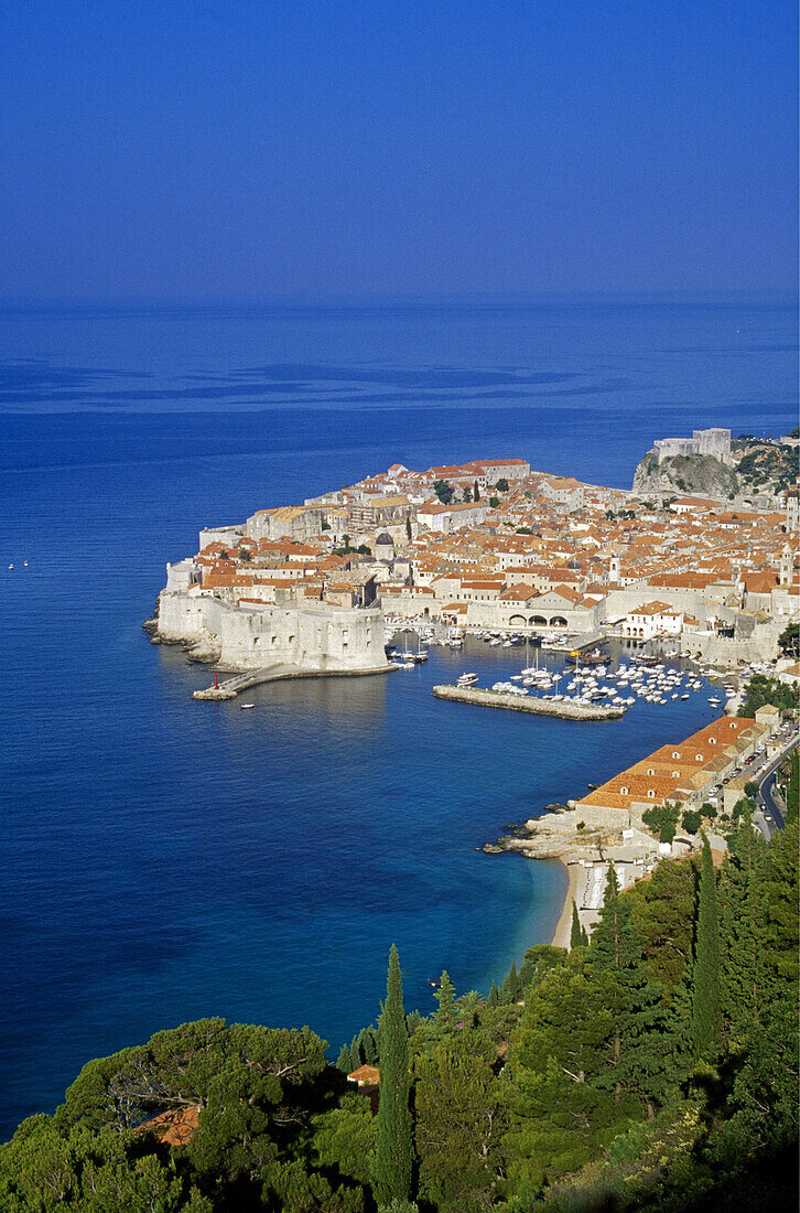 View to the Old Town and the old harbour of Dubrovnik, Croatian Adriatic Sea, Dalmatia, Croatia, Europe